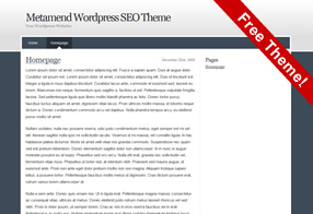 Wordpress SEO Theme